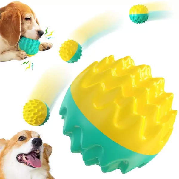 Squeaky Dog Fetch Ball for Small Medium Dogs | Floating Chew Toy | Wholesale