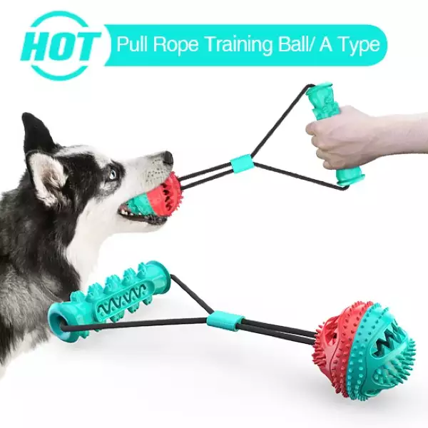 Pet Toy Manufacturer | Interactive Tug Toy for Dogs | OEM Wholesale