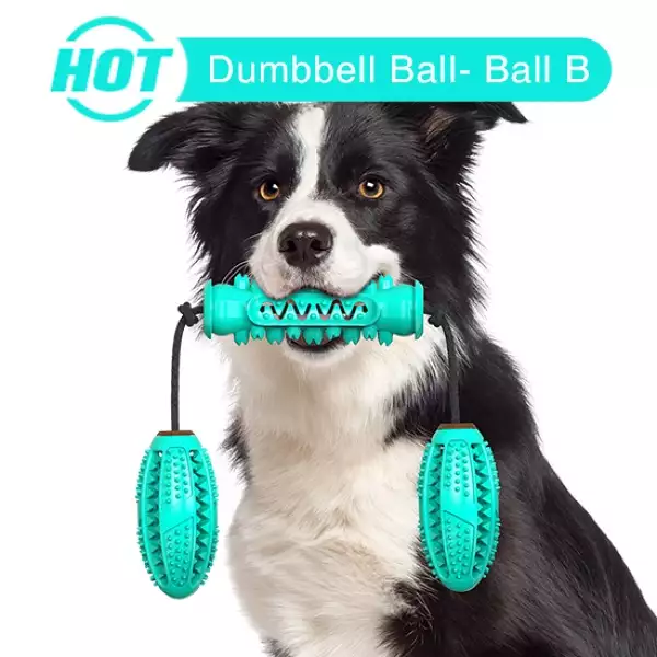 Pet Toy Manufacturer | Interactive Tug Toy for Dogs (Model B) | OEM