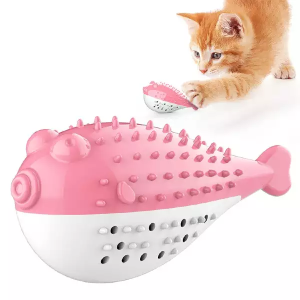 Why Your Cat Needs a Pufferfish Toothbrush Toy for Better Dental Health